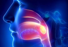 Диагностика заболеваний ЛОР-органов