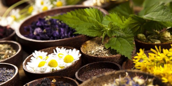 Лекарственные травы как хороший помощник в лечении респираторных заболеваний