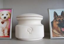 Кремация домашних животных