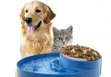 Зоотовары: как выбрать сухой корм для собак