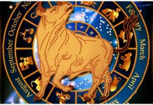 Мужчина-Телец: характеристика знака зодиака, какие девушки ему нравятся