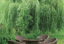 Мебель из ротанга: плюсы