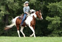 Чем полезен конный спорт