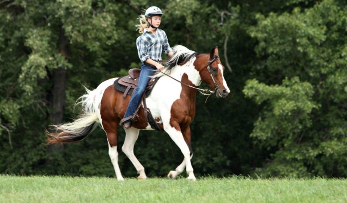Чем полезен конный спорт
