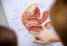 ЧТО ТАКОЕ АУГМЕНТАЦИЯ ТОЧКИ G