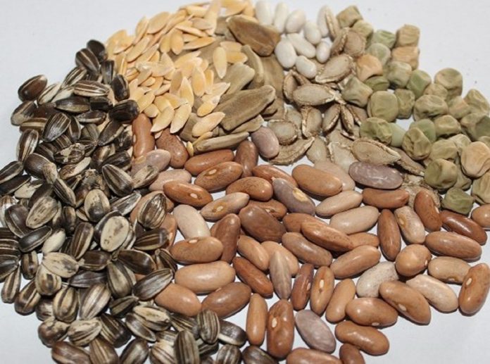 Где приобрести семена растений