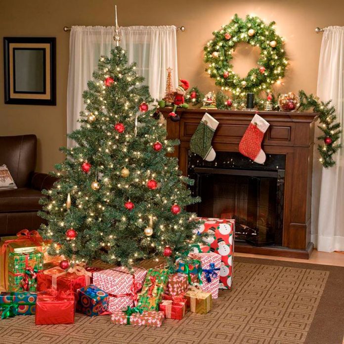 Что нужно знать при выборе новогодний ёлки