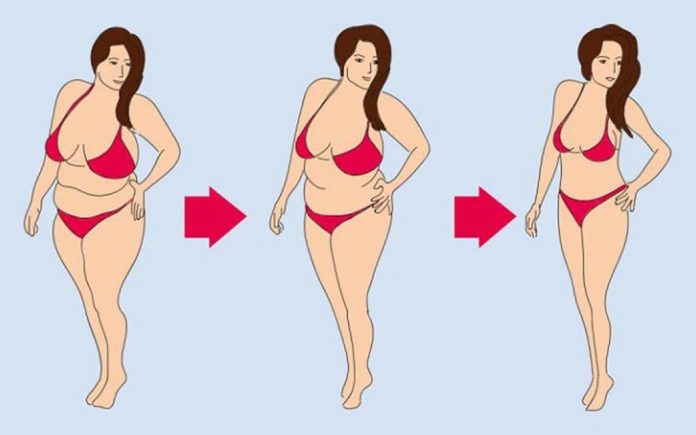 Как работает индекс массы тела