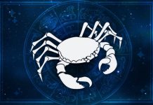 Как проверить совместимость со знаком Рак