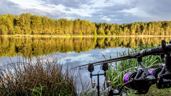 Рыбалка на озерах: как и на что рыбачить