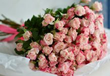 На что обратить внимание при выборе роз