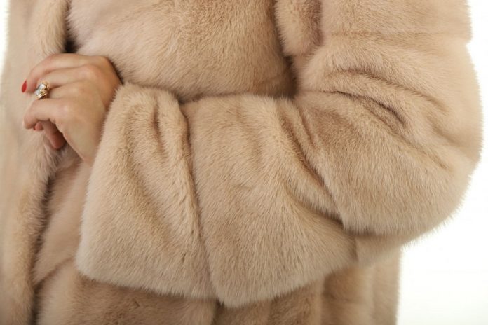 Как защитить норковую шубу от моли