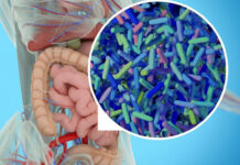 Что следует знать про кишечную микрофлору?