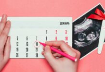 Что важно знать при планировании беременности