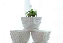 Выбираем кашпо для цветов