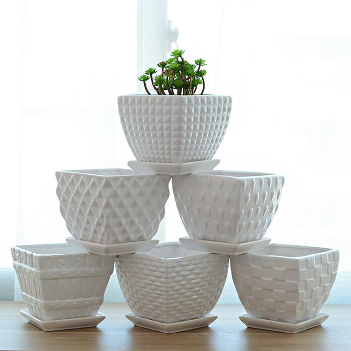 Выбираем кашпо для цветов