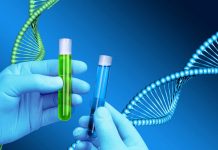 Разгадка тайн нашей ДНК: исследование увлекательного мира генетических исследований