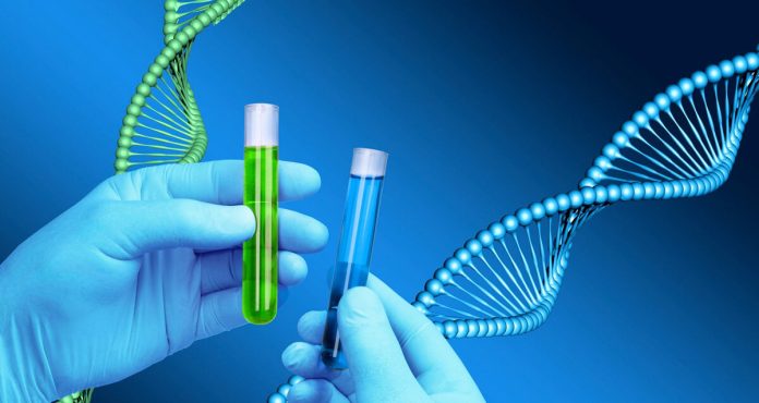 Разгадка тайн нашей ДНК: исследование увлекательного мира генетических исследований