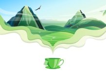 Чай улун: какие виды бывают?