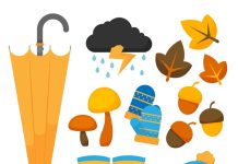 Модные шапки осени 2024 года