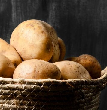 Заказ картофеля: какие особенности выбора