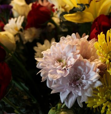 Цветы купить: как выбрать идеальный букет без лишних хлопот