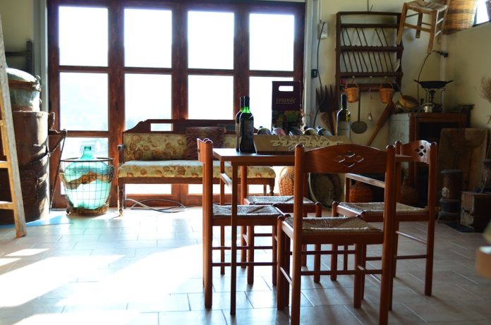 Расчистка территории: как привести участок в порядок и с чего начать