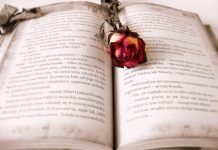 Символ-книга: двойная роль Wild и Scatter — преимущества и нюансы