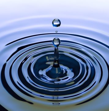 Дезинсекция от насекомых: Как избавиться от незваных гостей и вернуть комфорт домой