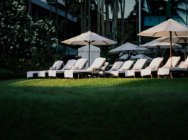 Парк-отель для свадьбы: почему это идеальный выбор?