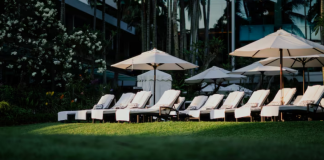 Парк-отель для свадьбы: почему это идеальный выбор?