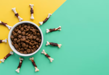 Суперпремиальный корм: почему миска превращается в инвестицию в здоровье питомца