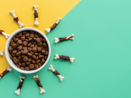 Суперпремиальный корм: почему миска превращается в инвестицию в здоровье питомца