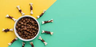 Суперпремиальный корм: почему миска превращается в инвестицию в здоровье питомца