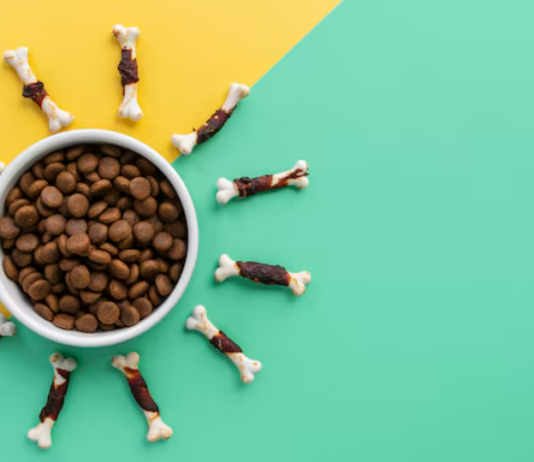 Суперпремиальный корм: почему миска превращается в инвестицию в здоровье питомца